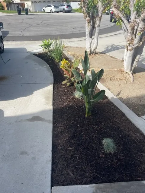 Professional outdoor landscaping in Tustin, CA by OC Sprinkler Guys