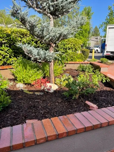 Custom yard cleanup service for outdoor upgrades across Tustin, CA - OC Sprinkler Guys
