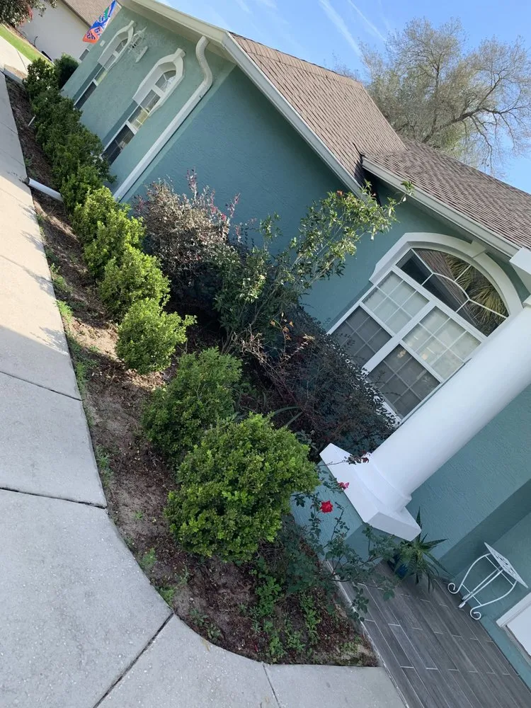 Professional yard cleanup service in Ocala, FL by Ocala Lawn and Maintenance