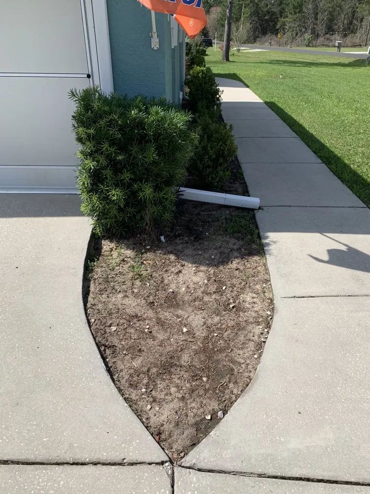 Trusted outdoor landscaping for beautiful yards across Ocala, FL - Ocala Lawn and Maintenance