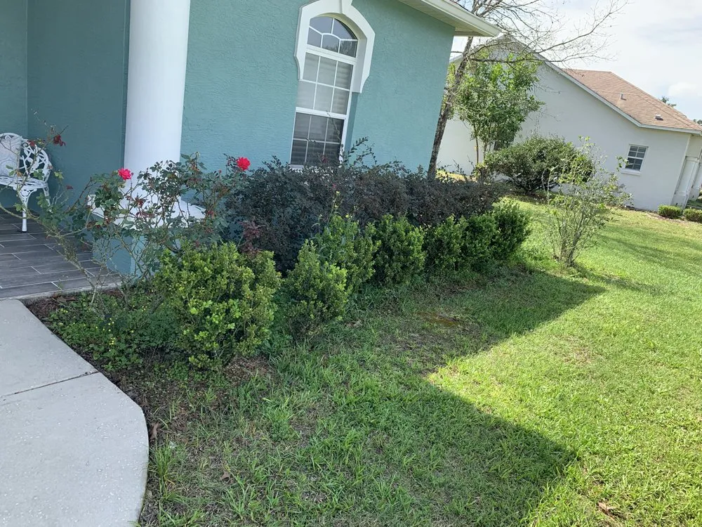 Professional landscape installation experts serving Ocala, FL - Ocala Lawn and Maintenance