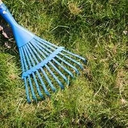 Local yard cleanup service for residential properties across Ocala, FL - Ocala Lawn Care