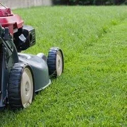 Trusted yard maintenance in Ocala, FL - Ocala Lawn Care
