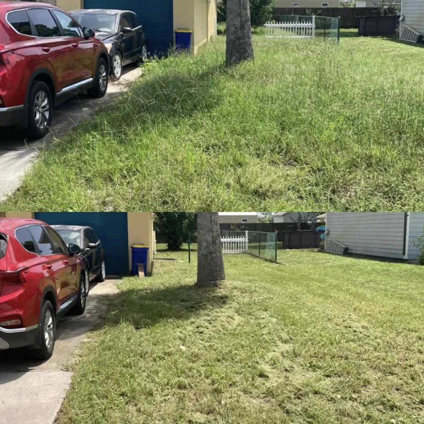 Local lawn care service experts serving Port Orange, FL - O’Callaghan Landscaping