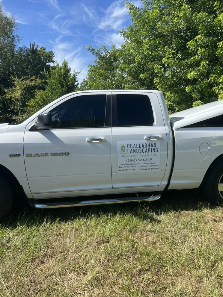 Expert yard cleanup service in Port Orange, FL by O’Callaghan Landscaping