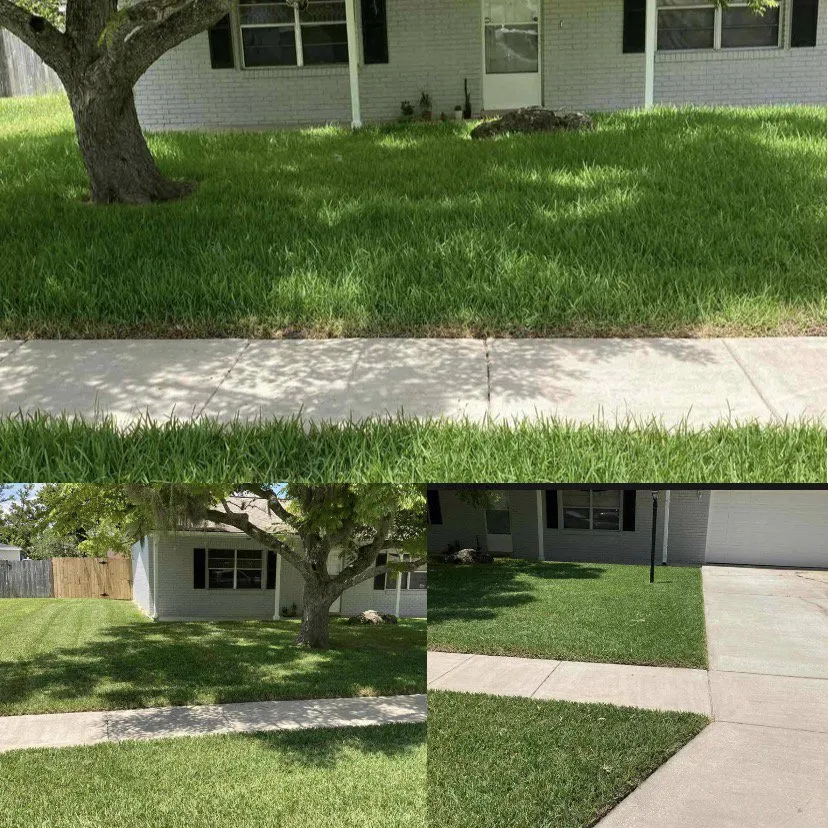 Top-rated lawn care service in Port Orange, FL by O’Callaghan Landscaping