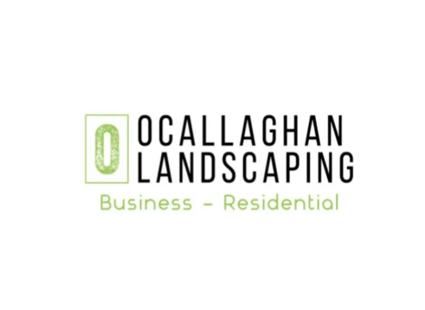 Top-rated yard cleanup service in Port Orange, FL - O’Callaghan Landscaping