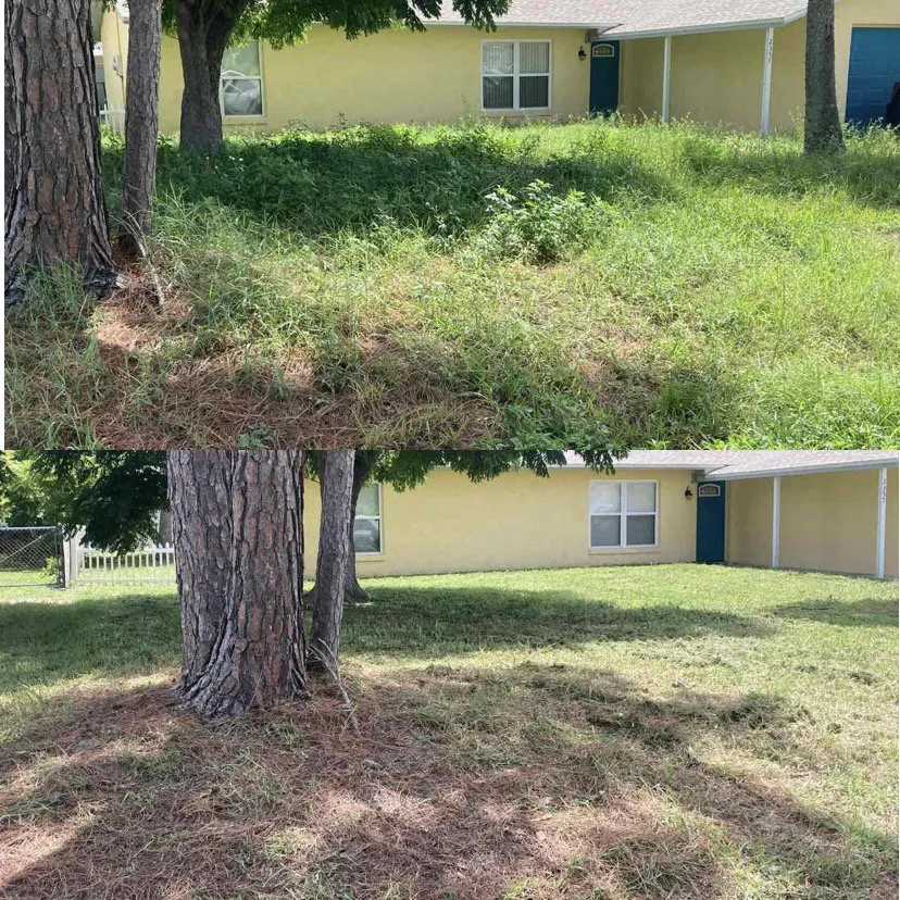 Top-rated landscape installation in Port Orange, FL by O’Callaghan Landscaping