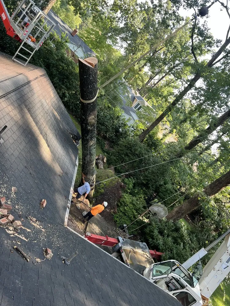 Top-rated landscape installation for beautiful yards across Winston Salem, NC - Ocampo Landscaping & Tree Service