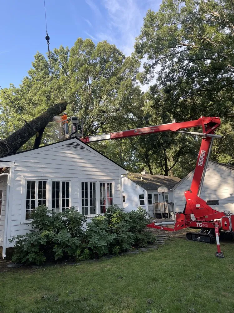 Reliable outdoor landscaping for outdoor upgrades across Winston Salem, NC - Ocampo Landscaping & Tree Service