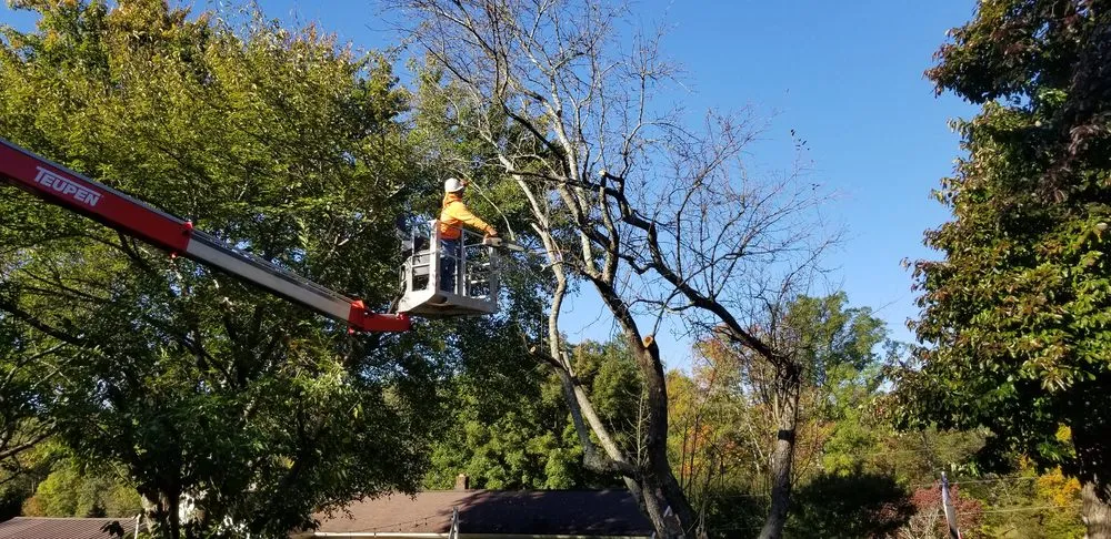 Reliable residential landscaping in Winston Salem, NC - Ocampo Landscaping & Tree Service