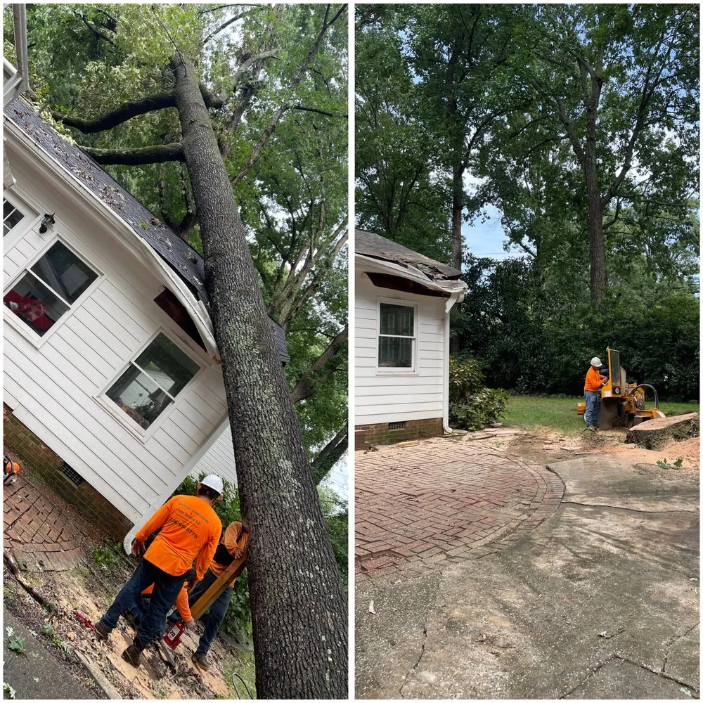 Reliable landscape design for year-round maintenance across Winston Salem, NC - Ocampo Landscaping & Tree Service