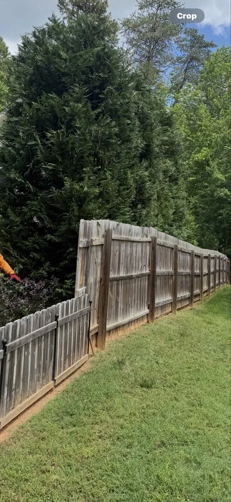 Top-rated landscape design for outdoor upgrades in Winston Salem, NC by Ocampo Landscaping & Tree Service