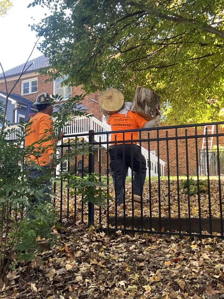 Top-rated lawn mowing service in Winston Salem, NC by Ocampo Landscaping & Tree Service