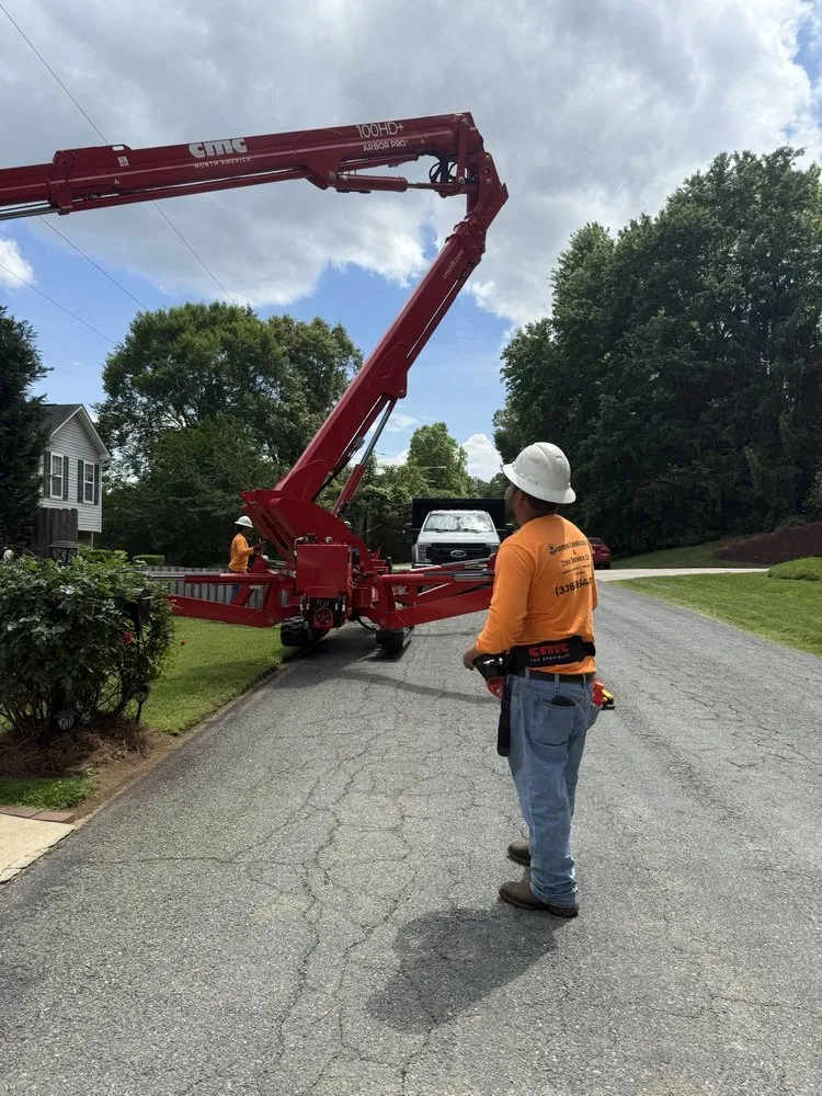 Custom outdoor landscaping with custom design in Winston Salem, NC by Ocampo Landscaping & Tree Service