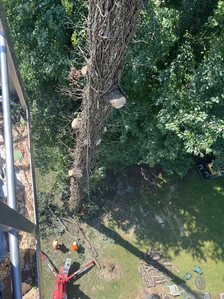 Expert landscaping services experts serving Winston Salem, NC - Ocampo Landscaping & Tree Service