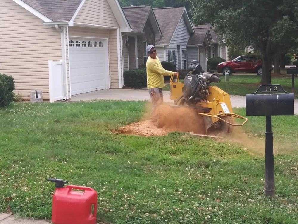 Expert landscape installation in Winston Salem, NC by Ocampo Landscaping & Tree Service