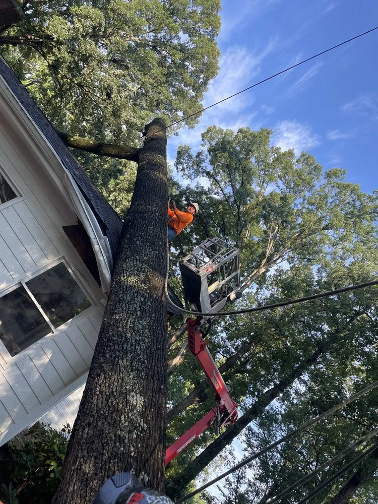 Local landscape installation in Winston Salem, NC by Ocampo Landscaping & Tree Service