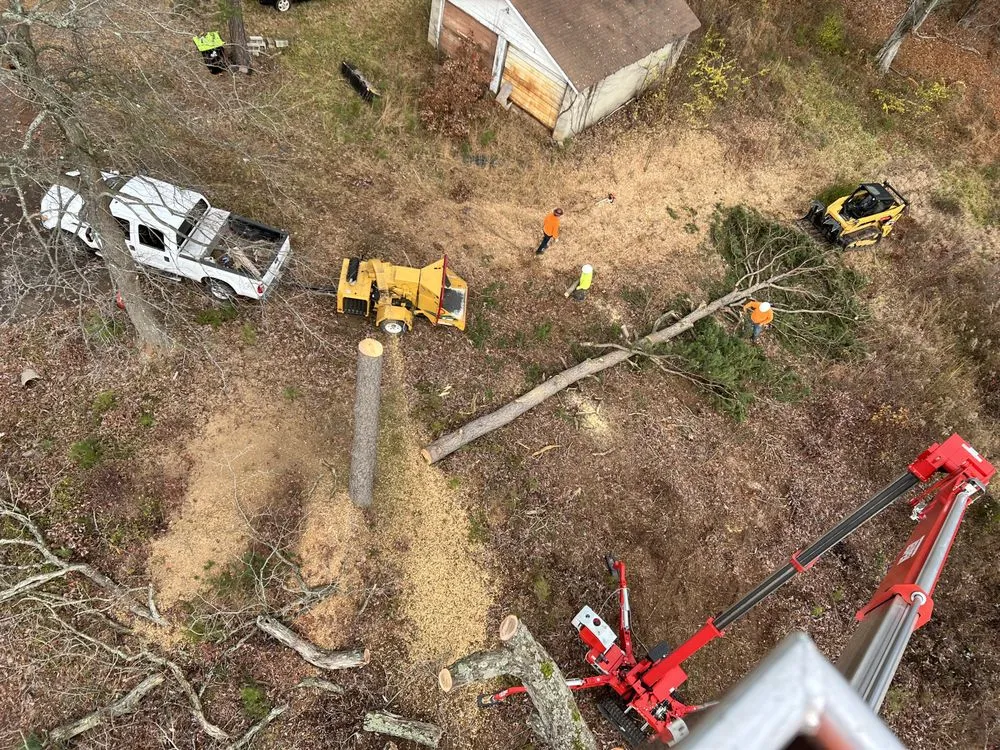 Expert yard maintenance experts serving Winston Salem, NC - Ocampo Landscaping & Tree Service