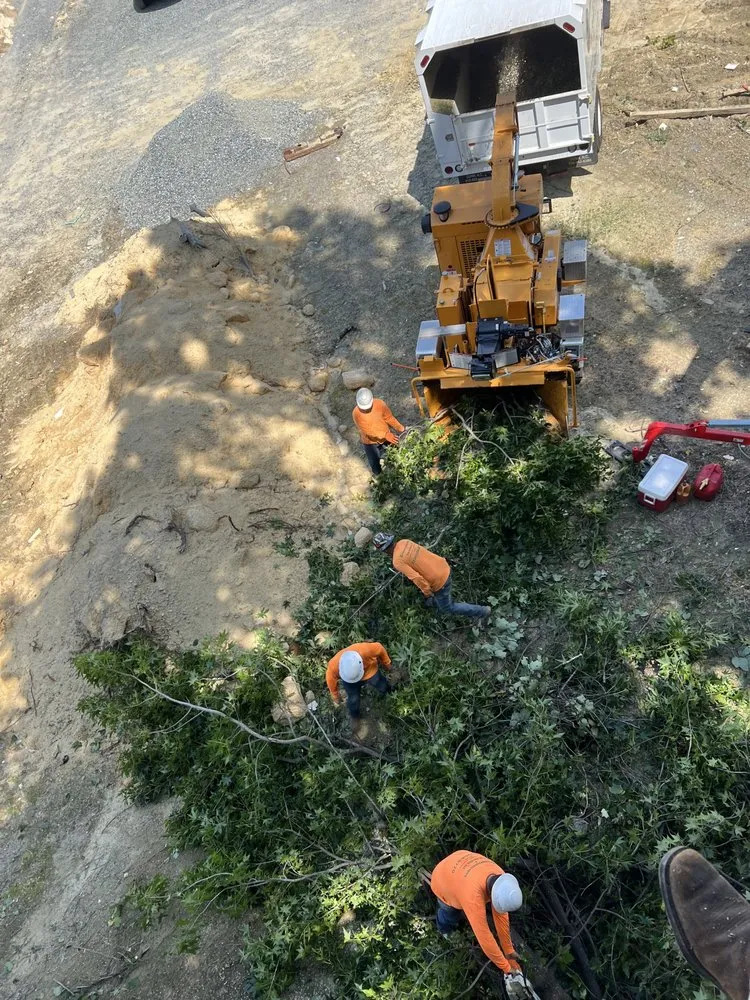 Trusted lawn care service near you across Winston Salem, NC - Ocampo Landscaping & Tree Service