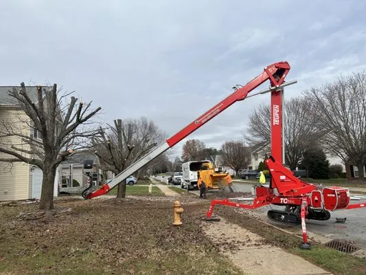 Ocampo Landscaping & Tree Service