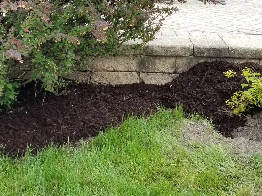 Affordable yard cleanup service for beautiful yards across Maywood, IL - Ocampos green lanscaping
