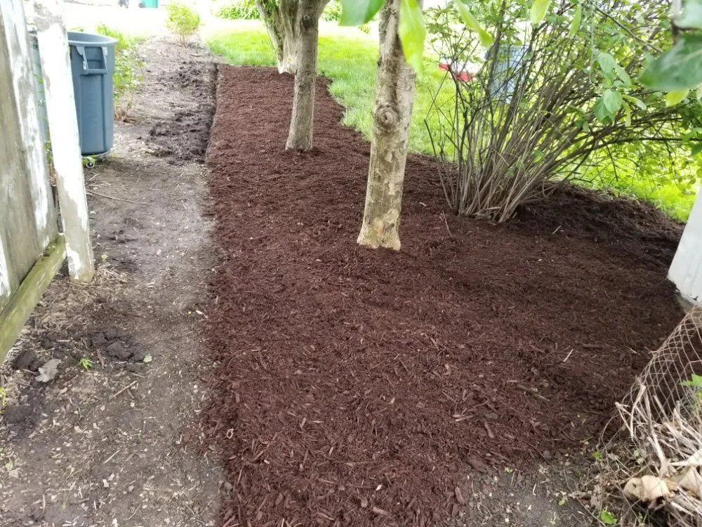 Expert outdoor landscaping with custom design across Maywood, IL - Ocampos green lanscaping