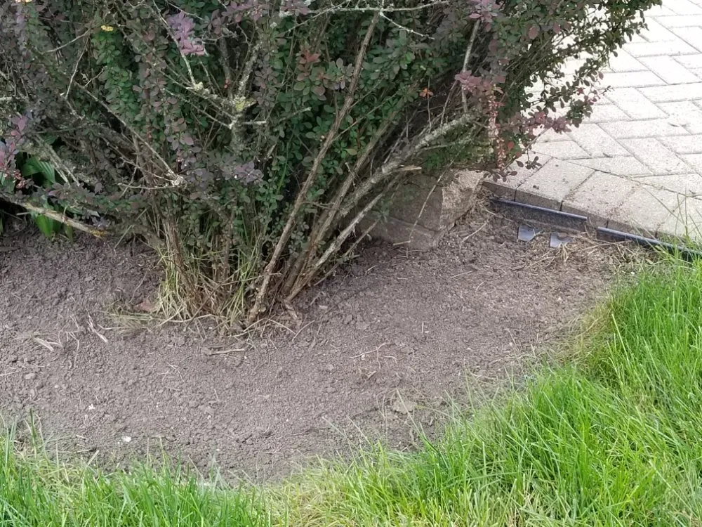 Affordable outdoor landscaping with custom design in Maywood, IL by Ocampos green lanscaping