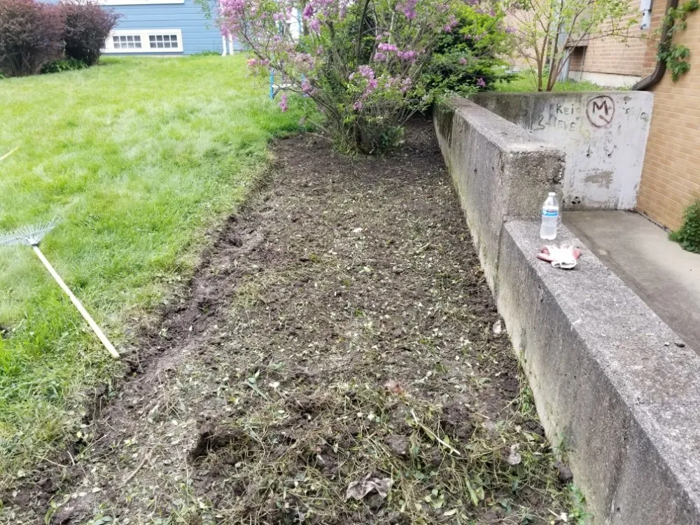 Trusted residential landscaping experts serving Maywood, IL - Ocampos green lanscaping