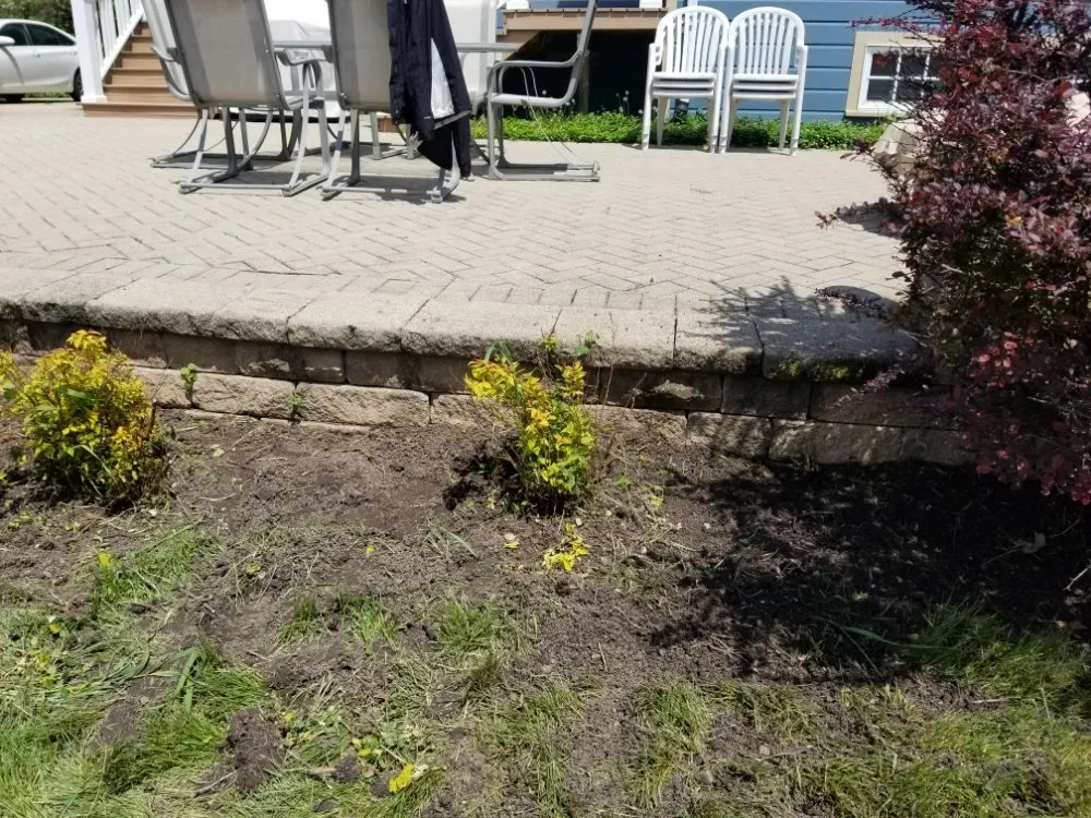 Top-rated lawn care service for residential properties in Maywood, IL by Ocampos green lanscaping