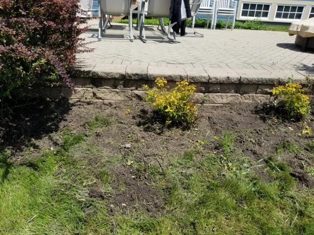 Affordable yard maintenance in Maywood, IL - Ocampos green lanscaping