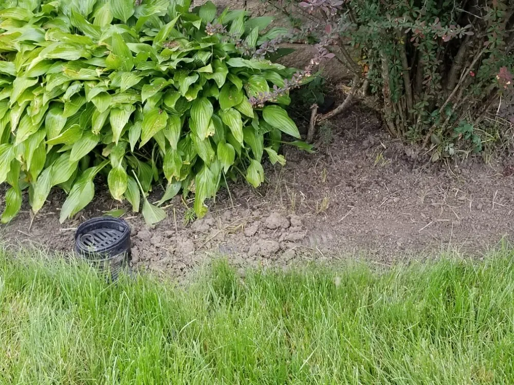 Reliable landscape installation in Maywood, IL - Ocampos green lanscaping