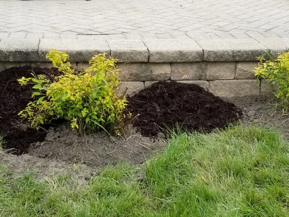 Trusted lawn care service for homes across Maywood, IL - Ocampos green lanscaping