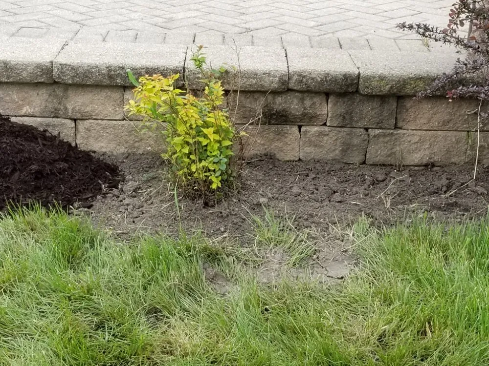 Custom yard cleanup service in Maywood, IL - Ocampos green lanscaping