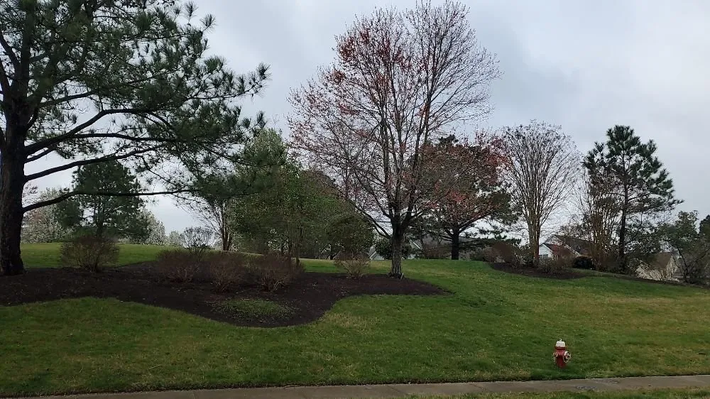 Expert outdoor landscaping in Ashland, VA by Ocanas Landscaping