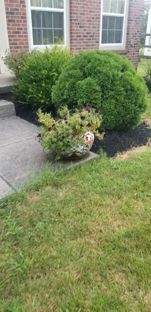 Top-rated yard cleanup service for beautiful yards in Feasterville-Trevose, PA by Occupation General Services