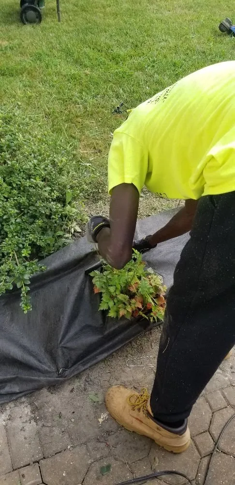 Expert garden landscaping in Feasterville-Trevose, PA - Occupation General Services