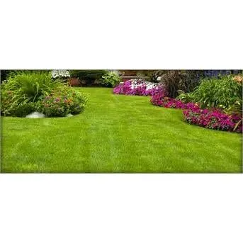 Trusted outdoor landscaping in Okeechobee, FL - OCD Lawn Care