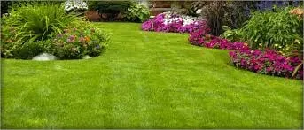 Local landscape installation near you across Okeechobee, FL - OCD Lawn Care