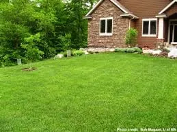 Reliable landscape design near you across Okeechobee, FL - OCD Lawn Care