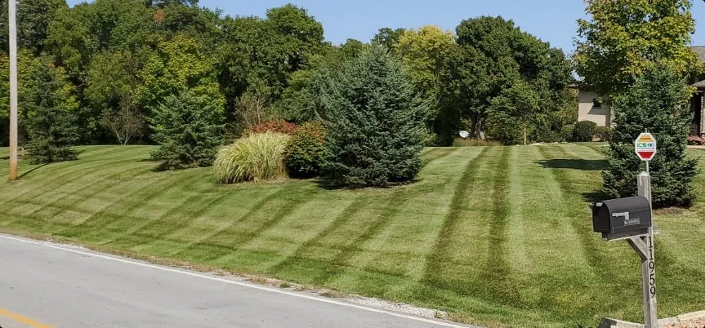 Trusted yard cleanup service in Des Moines, IA - OCD Lawn