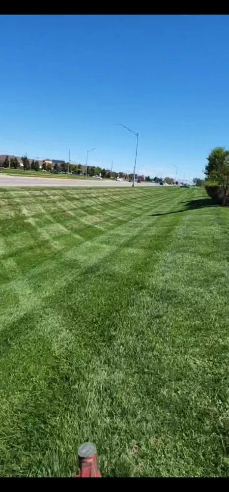 Professional lawn care service for year-round maintenance in Des Moines, IA by OCD Lawn