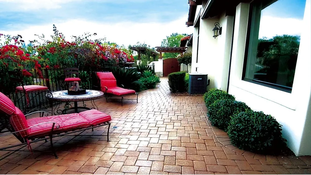 Professional yard cleanup service near you in San Marcos, CA by Ocean Blue Pools
