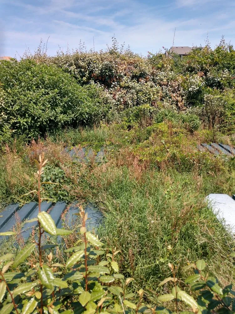 Affordable outdoor landscaping in Kill Devil Hills, NC by Ocean Breeze Landscaping