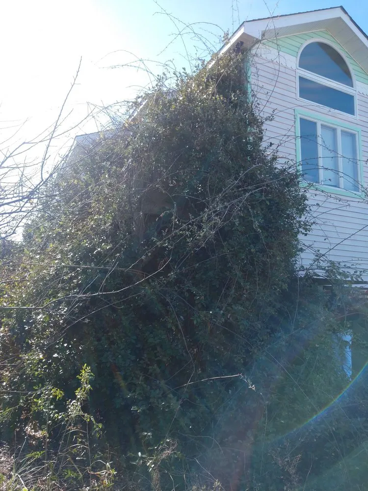 Expert landscaping services in Kill Devil Hills, NC by Ocean Breeze Landscaping