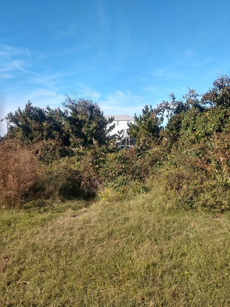 Top-rated yard cleanup service experts serving Kill Devil Hills, NC - Ocean Breeze Landscaping