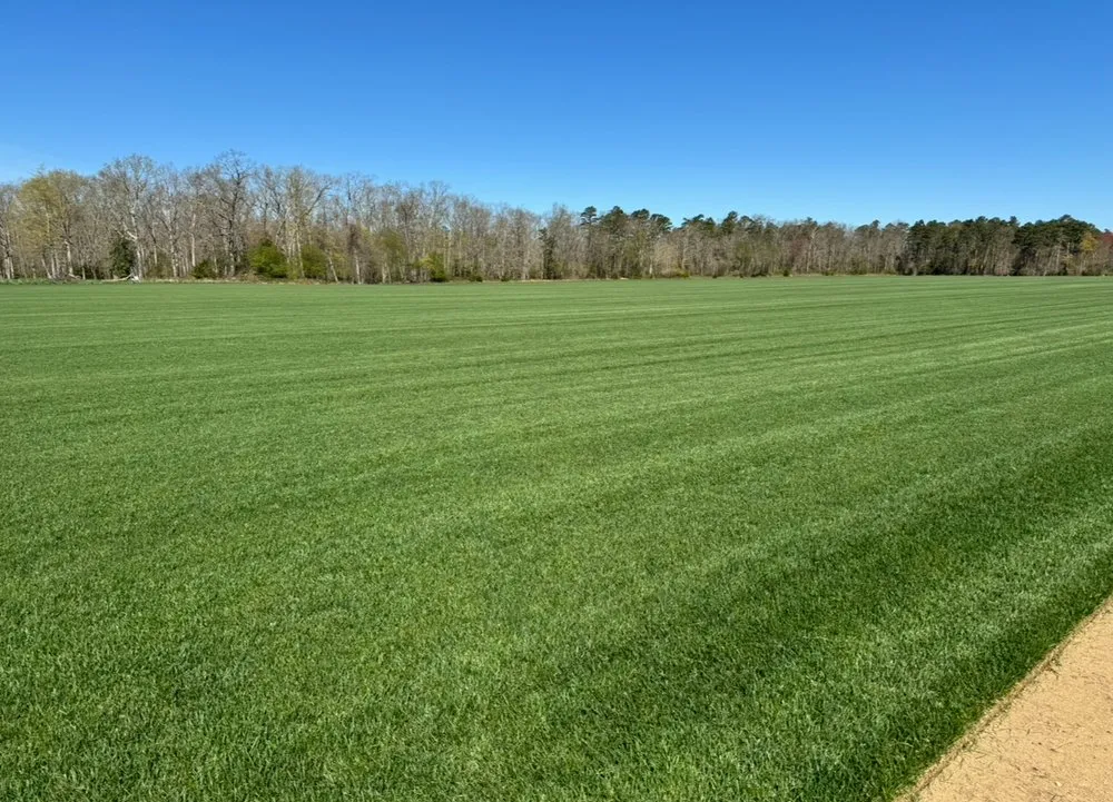 Custom residential landscaping in Ocean County, NJ by Ocean County Sod