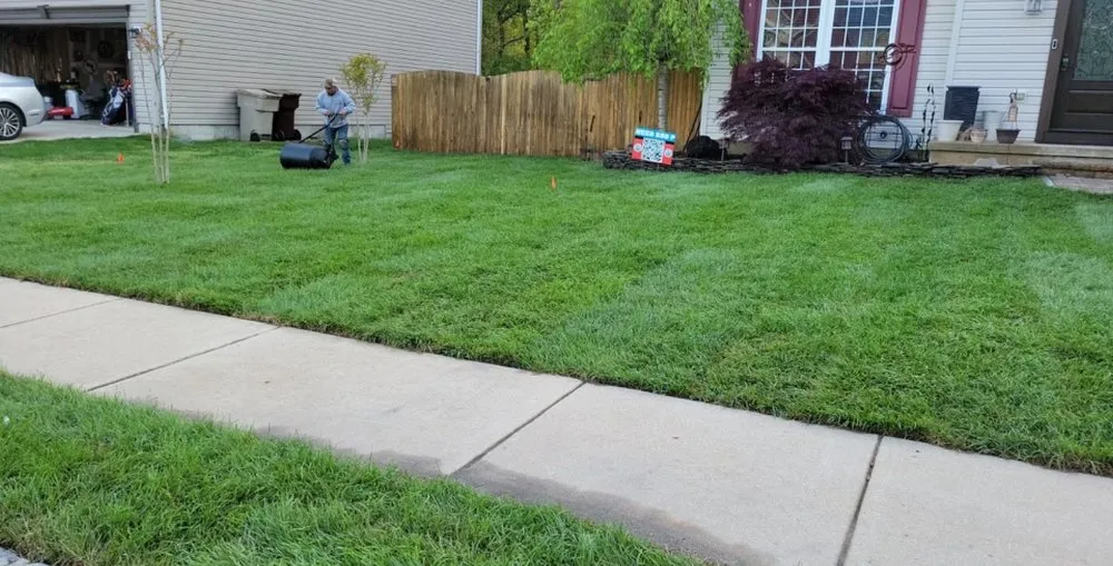 Professional landscape design in Ocean County, NJ - Ocean County Sod