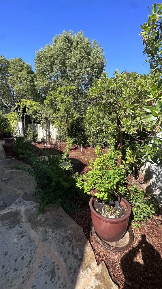 Local landscape installation in Santa Barbara, CA - Ocean Green Landscape and Maintenance