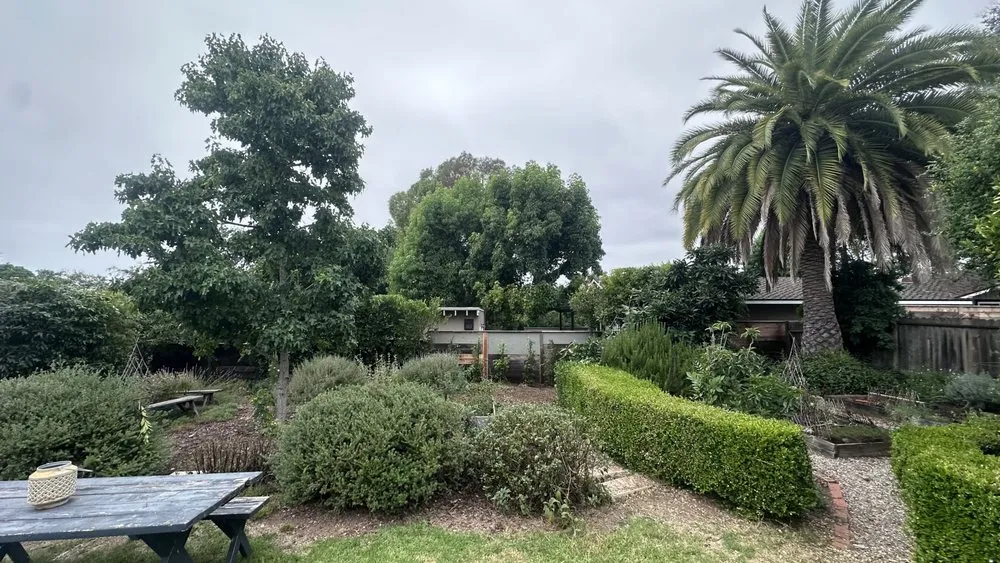 Custom lawn mowing service experts serving Santa Barbara, CA - Ocean Green Landscape and Maintenance